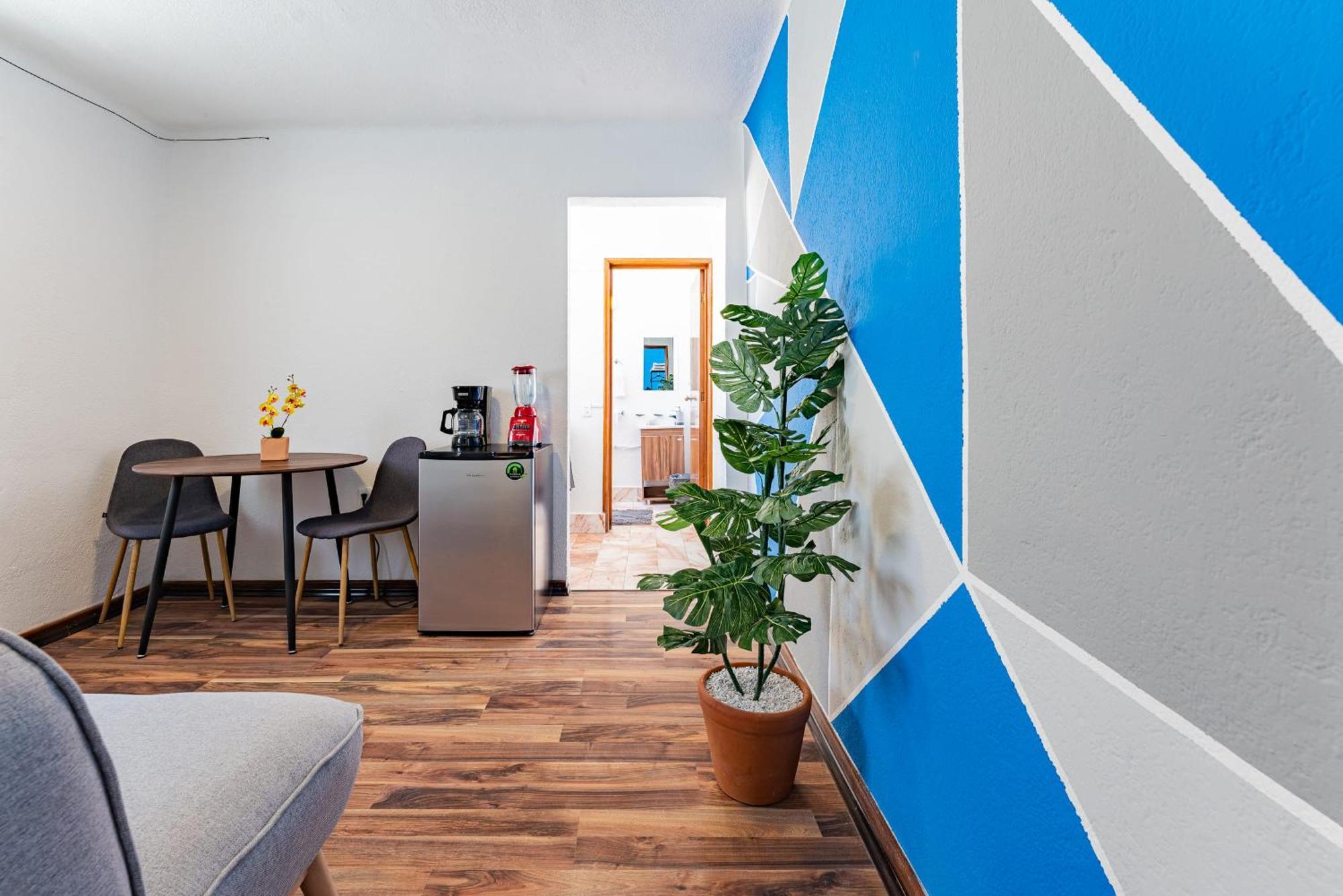 Santa Ma La Ribera Lofts By Vh Apartment Mexico City Exterior photo